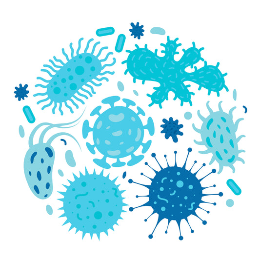 Extra Steps You Can Take to Avoid Allergens